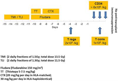 Impact of total marrow/lymphoid irradiation dose to the intestine on graft-versus-host disease in allogeneic hematopoietic stem cell transplantation for hematologic malignancies